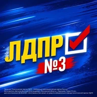 ЛДПР в Санкт-Петербурге
