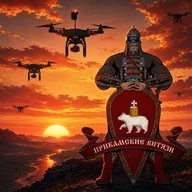 Прикамские витязи