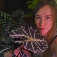 Plants & Purrfection