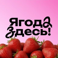 Ягода Здесь | Ягоды из Кыргызстана